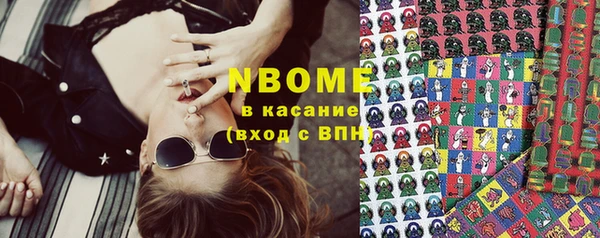 стафф Осташков