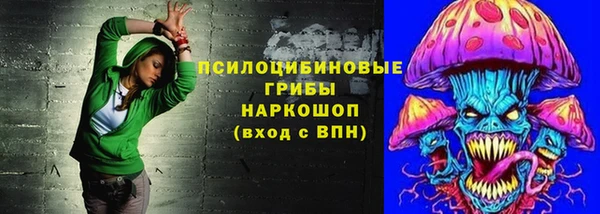 spice Армянск