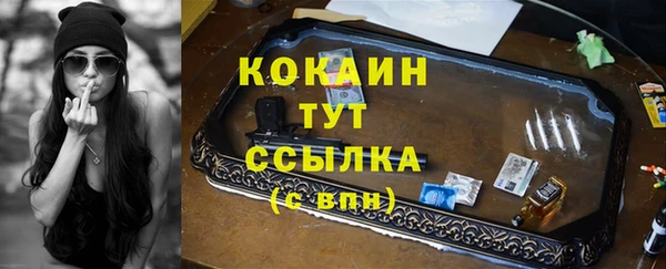 стафф Осташков